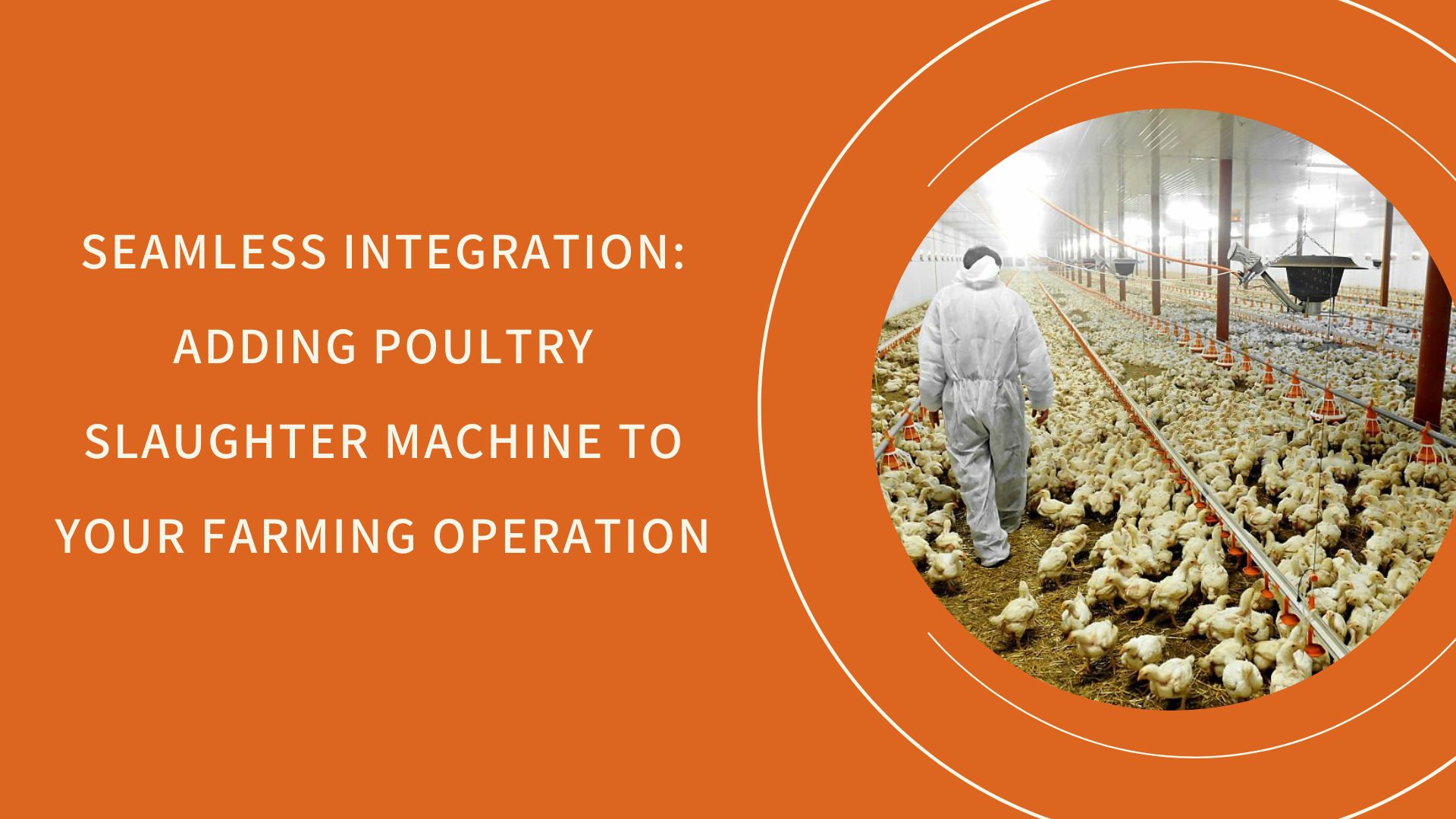 Seamless Integration Adding Poultry Slaughter Machine To Your Farming