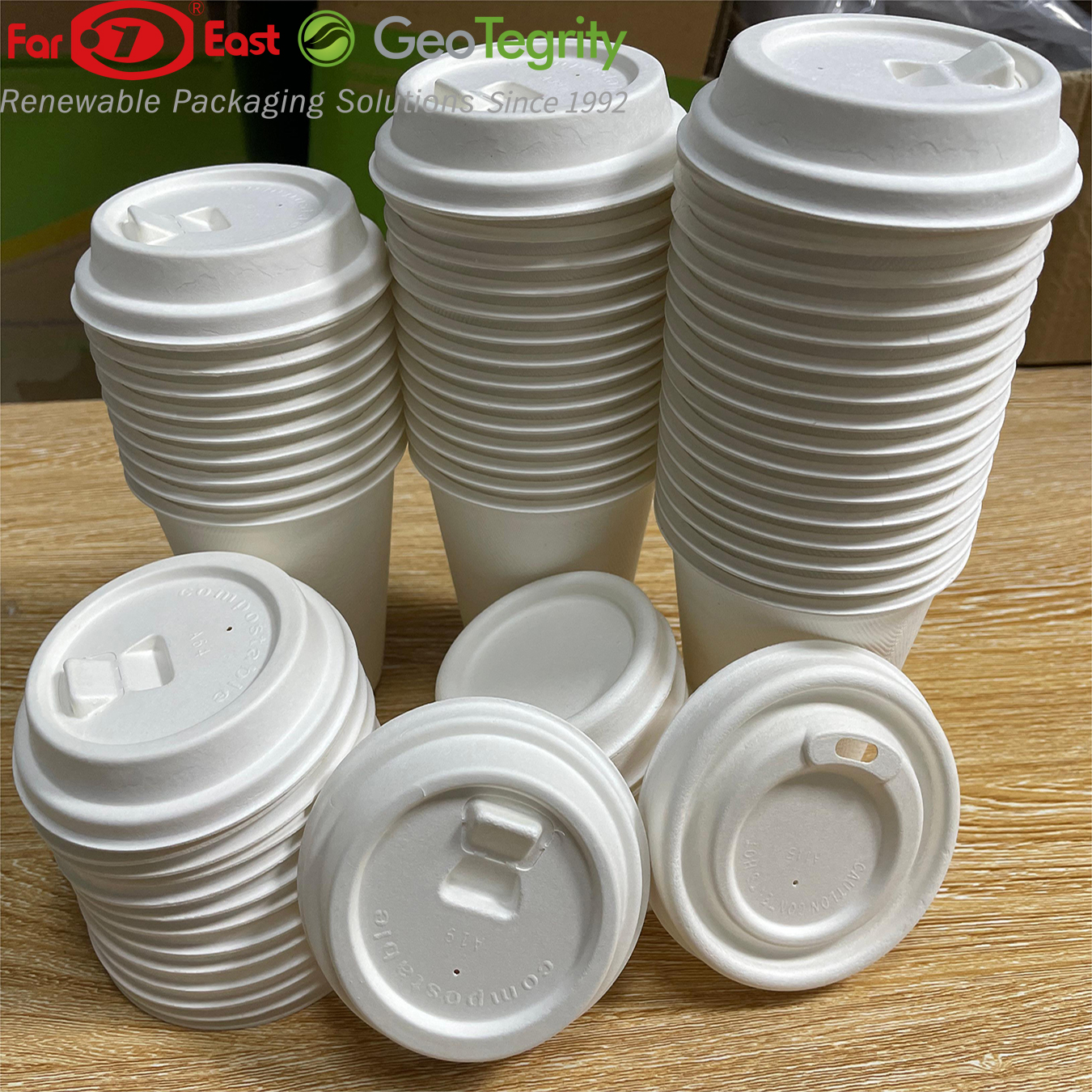 GeoTegrity Compostable Biodegradable Disposable Sugarcane Bagasse