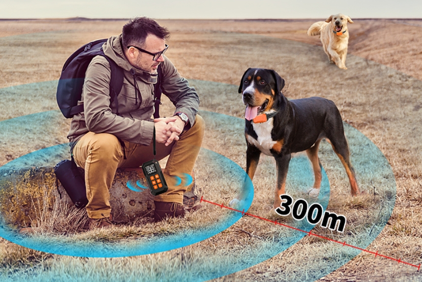 dog electric fence control distance