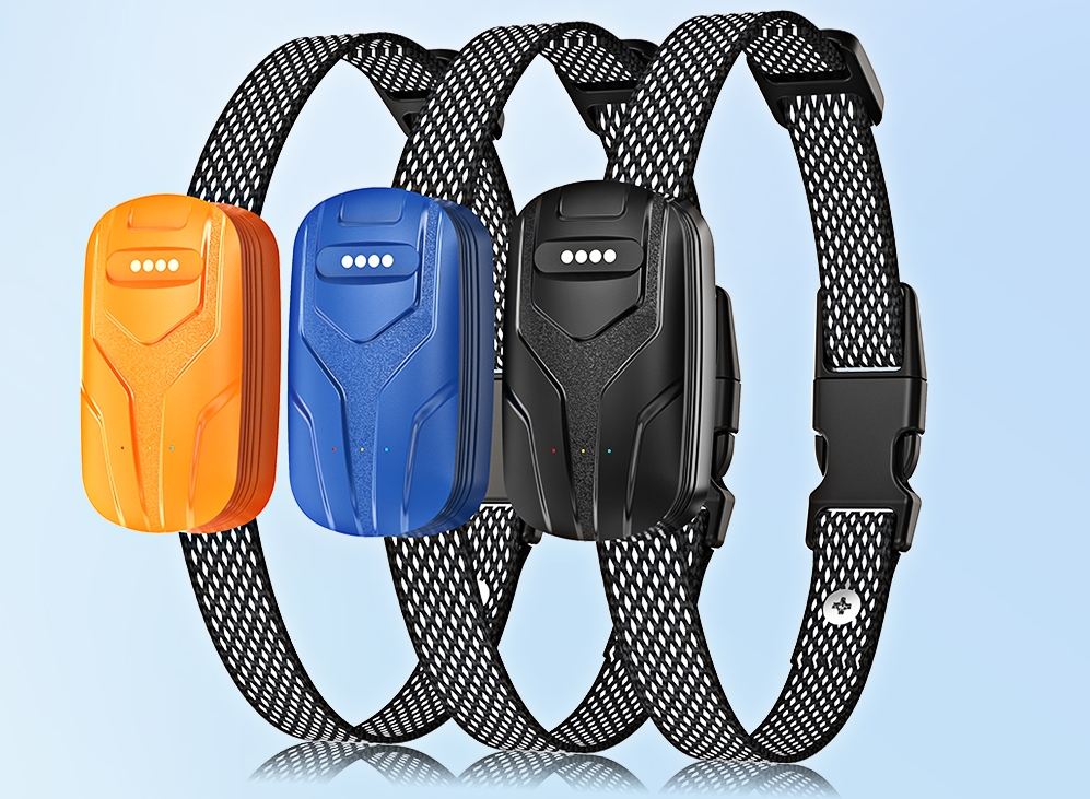 new pet gps tracker
