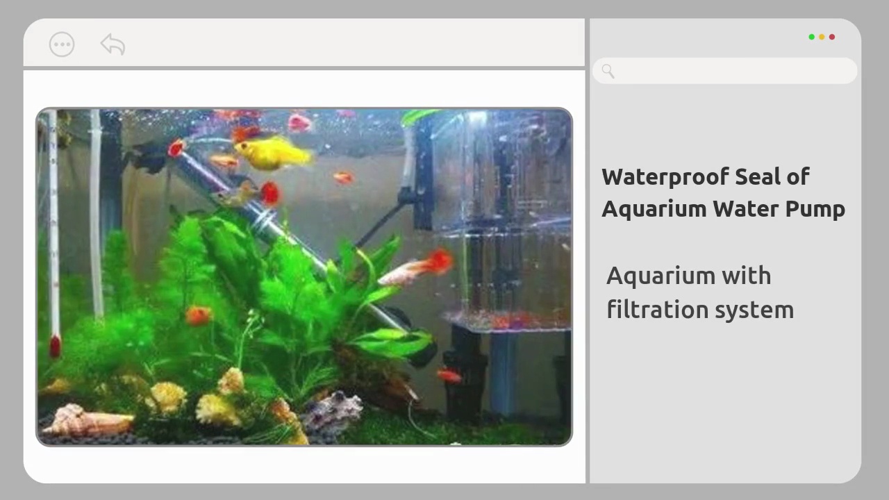 Beautiful tropical .ornamental fish.Aquarium with .filtration system.Waterproof Seal of .Aquarium Water Pump.