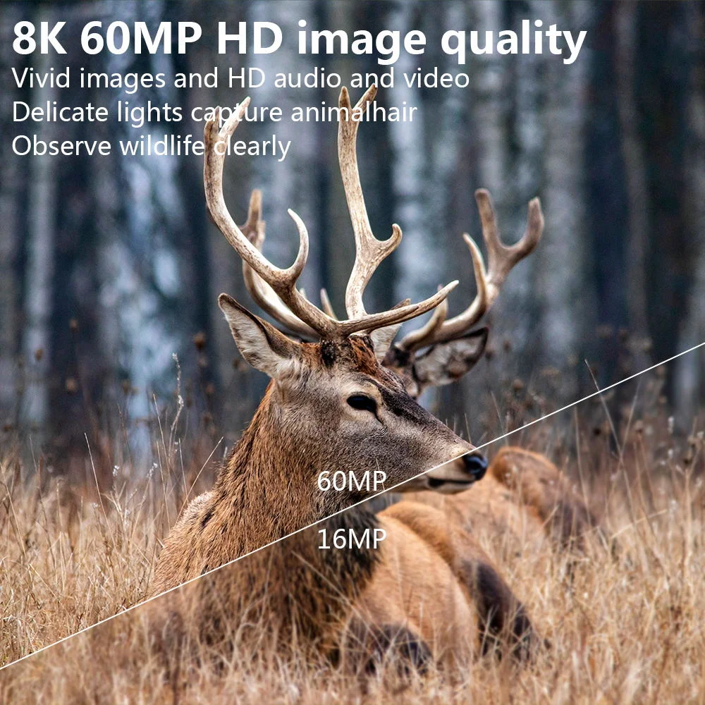 PR801 Hunting Trail Camera 8K in 3 version: 4G/Wifi/Regual