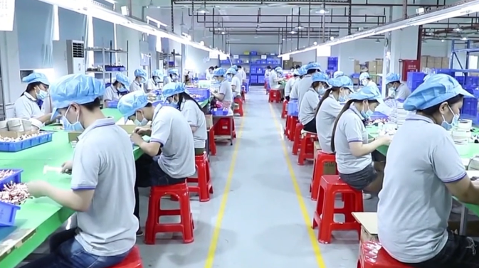 Produttori di mostre di produzione di spazzole cosmetiche personalizzate Aolin dalla Cina