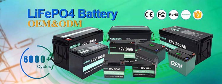 Aumoon Wholesale Solar System Lifepo4 Battery Pack Lithium Ion Lifepo4 12V 24V 36V 48V Batteries