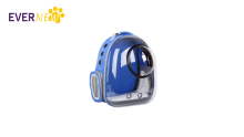 Space Cat Bag