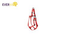 Pet Chest Strap-EN-D02