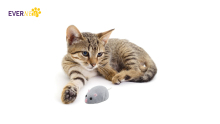 Evernew High Quality Smart Remote Control Funny Pet Animal Mouse Interactive Robotic Electric Pet Cat Toy