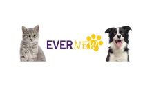 Product packaging delivery site video--Laser Toys for Pets