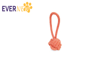 Customized Environmental dog bite toys for aggressive chewers cotton dog chew toy manufacturers From China | Evernew
