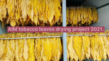 AIM Heat Pump tobacco leaf dryer
