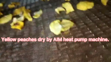 AIM Heat Pump Fruits/Yellow peaches dryer/Drying Machine