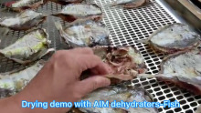For Trays Professional Commercial Food Dehydrator Machine Prices Onion Fruit Drying Dryer Fish Dehydrating Oven Machine