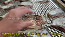 AIM To Sausage Biltong Dryer Fruit Drying Machine Big Commercial Canadian Tire Food Dehydrator Flower Lemon Dehydration