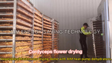 Producer Plant Electric Mushroom Mango Food Dryer Commercial Dehydrator Machine Fruit Vegetable Drying Machine