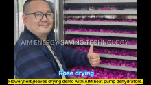 AIM Orange Peel Cat Food Dryer Machine Catfish Seaweed Cold Agarbatti Fish Drying Oven Fruit Dehydrator Machine