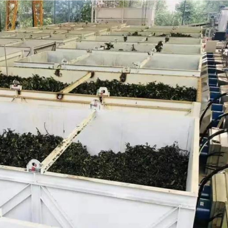 AIM Heat Pump Industrial Nuts Dryer Big Walnut Drying Machine