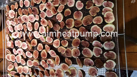 Инжир сушеный. Инжир с медом и орехами. Суши инжир в электросушилке. Как высушить инжир на солнце. Сушка инжира.