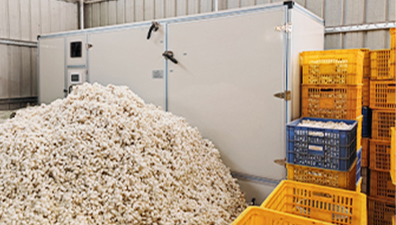 Best Cocoon Drying Project | Heat Pump Dryer Supplier | AIM