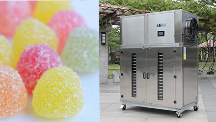 Focus Cbd Gummies Cbd Gummies For Focus Cbd Mushroom Gummies Hemp Bombs