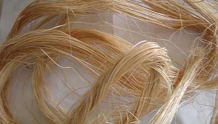 Abaca drying machine | Industrial Heat Pump Drying Machine | AIM