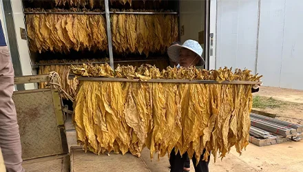 tobacco leaf drying machine Heat Pump Tobacco Drying Machine