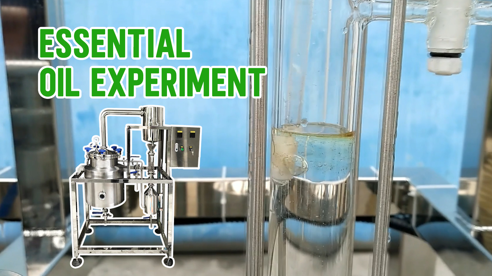 How to Extract Essential Oils from Plants