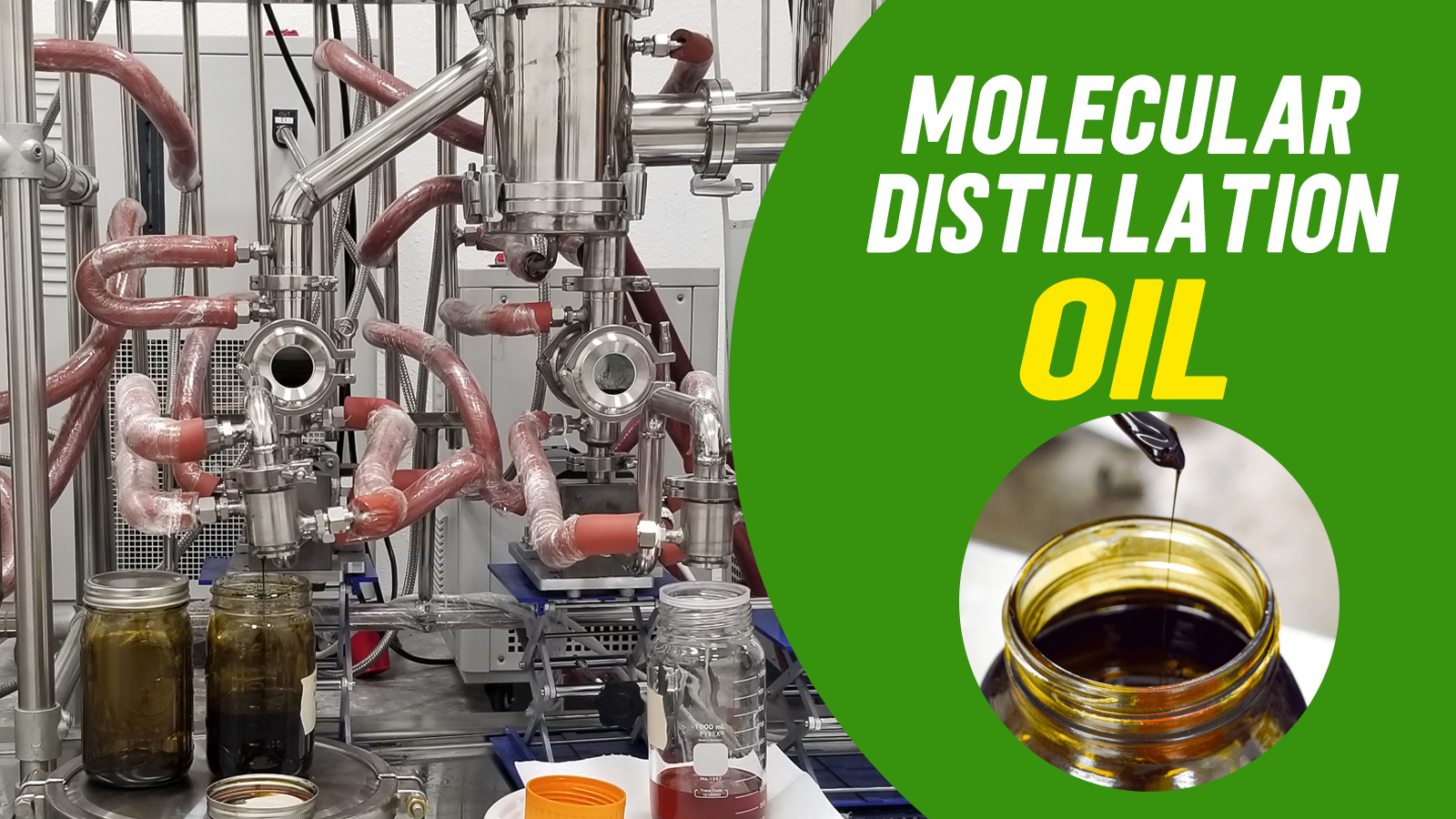 Molecular distillation plant oil purification in lab