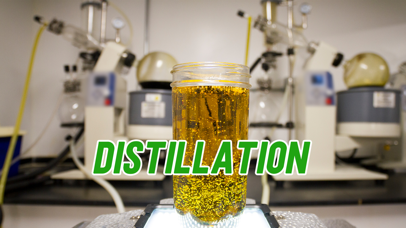 plant oil evaporation experiment
