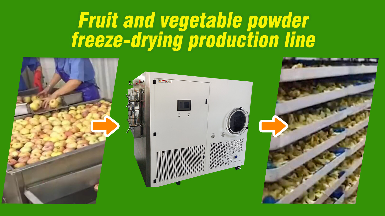 Fruit and vegetable powder freeze drying production line