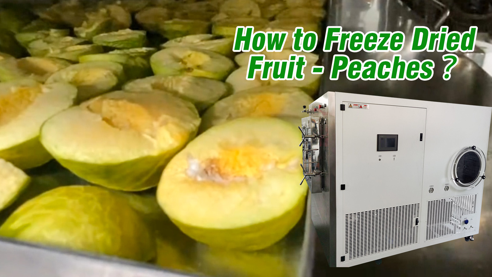 How to freeze dried fruit