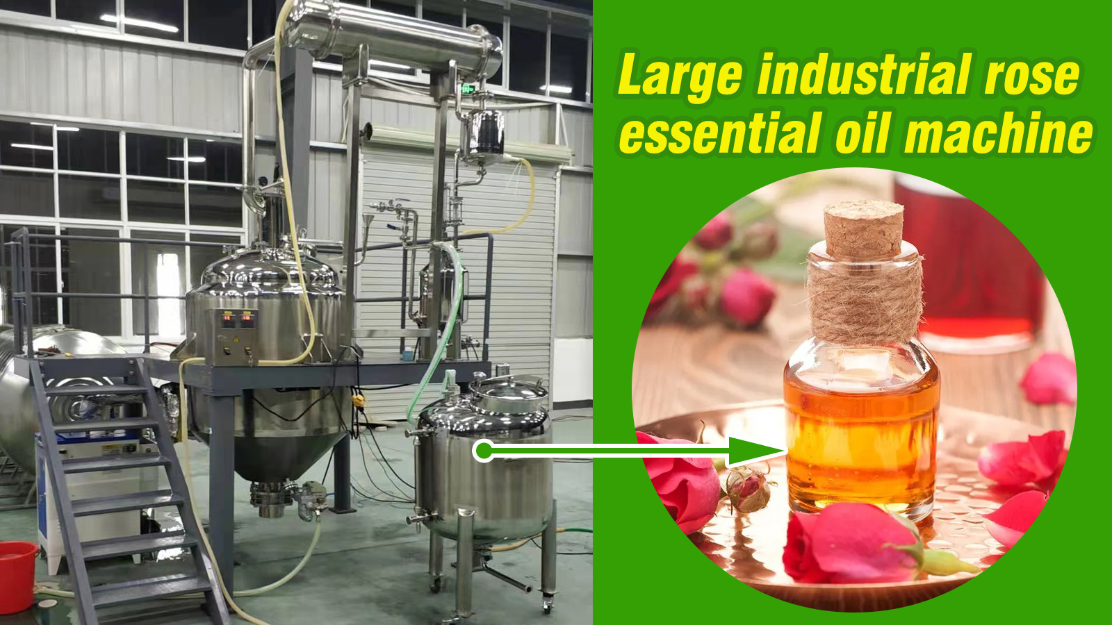 Large industrial rose essential oil machine