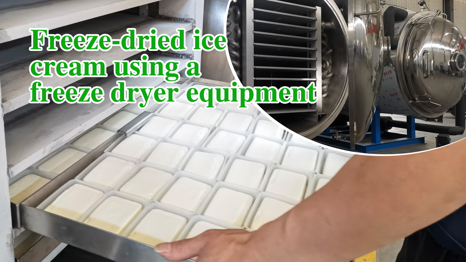 Freeze dried ice cream using a freeze dryer equipment