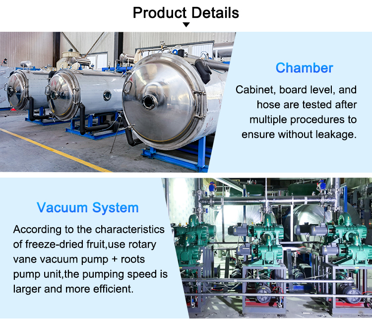 Vacuum Freeze Drying | TOPTION