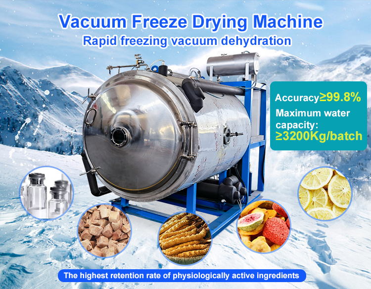 Freeze Drying vs. Dehydrating Which is Best for Food Preservation