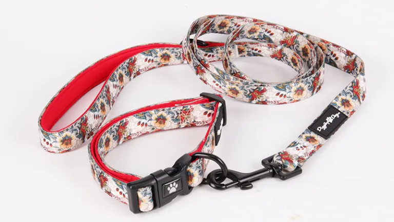 TONYFY Collare Per Cani In Silicone Personalizzato - Collare Per Cani In PVC Impermeabile E Regolabile, Incisione Gratuita Di Nome E Numero Per Cani Di Piccola Media Grande Taglia (Verde, S