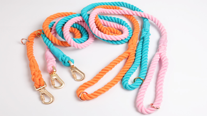 Lionet Paws Baumwoll Hundeleine – Handgefertigte Leine Für Kleine, Mittlere & Große Hunde
