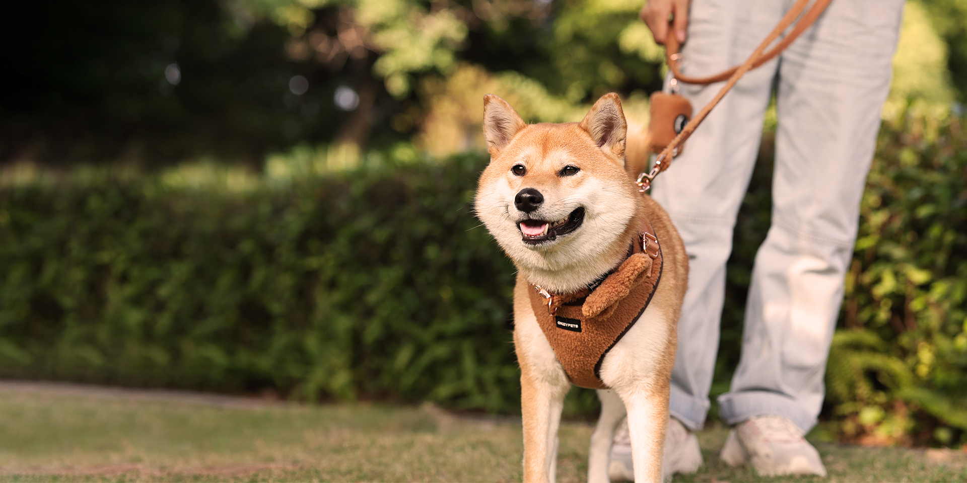 2015 年創業のカスタム犬用首輪とハーネスのメーカー |オーキーペット