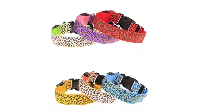 Collari Di Cane Arcobaleno - Italia - Foto 6