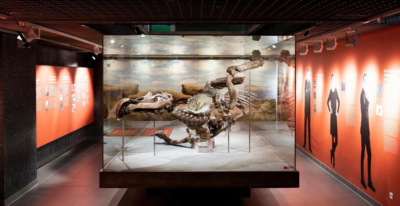 Senckenberg Naturmuseum Frankfurt | DG Display Showcase