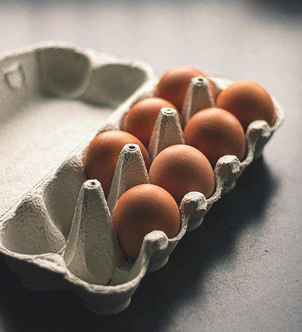 egg carton making machine,egg carton production line