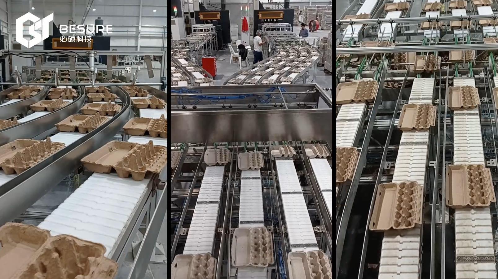 maquinaria de moldeo de pulpa