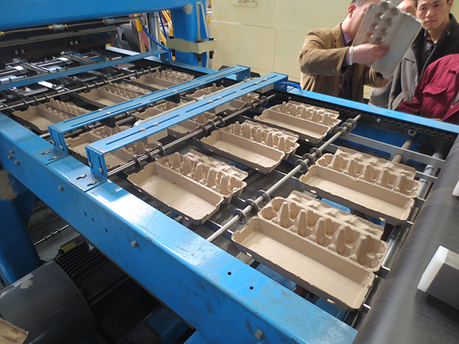 Egg tray maker machines