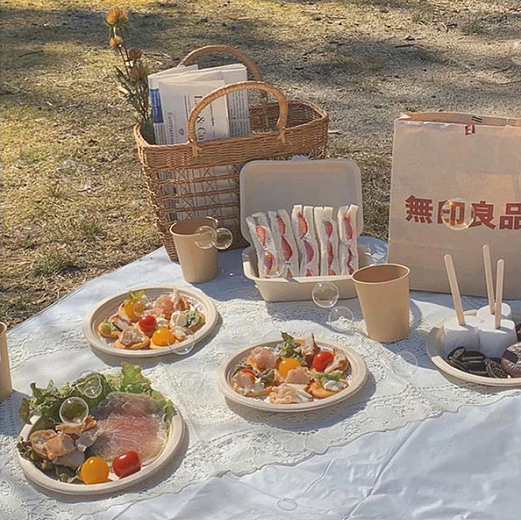 Biodegradable Tableware Making Machine
