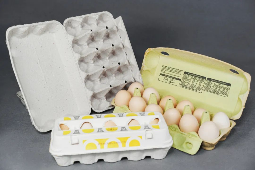 Choosing the Right Egg Crate Making Machine Key Factors to Consider