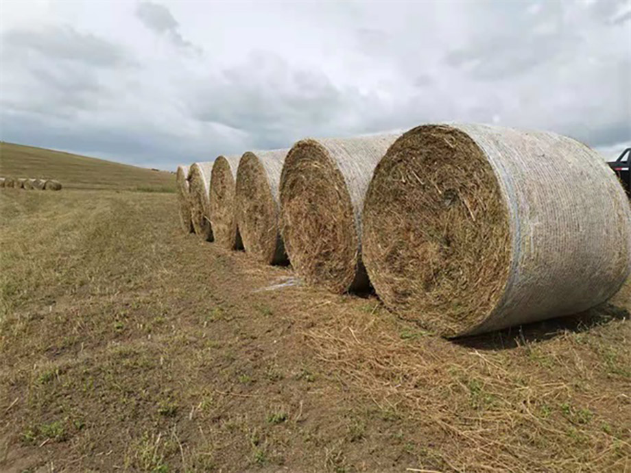 पल्पिंग प्रक्रिया