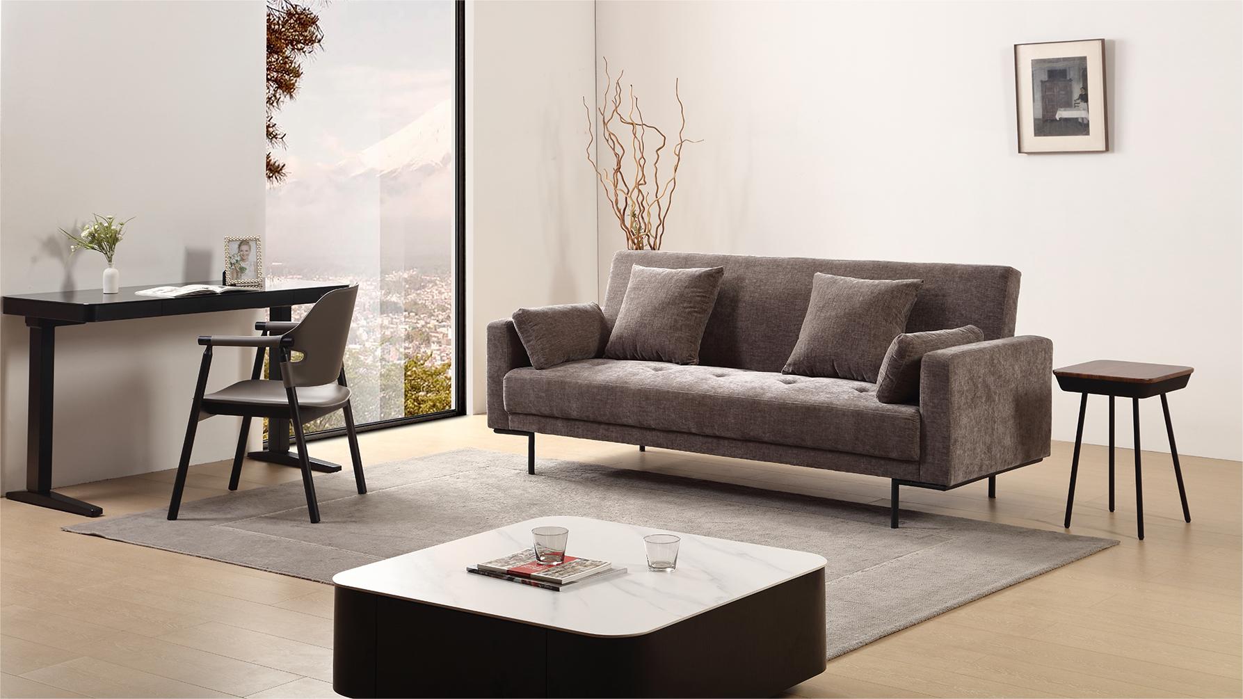 Modern Sofa Bed
