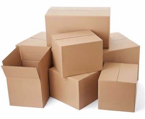 checkweigher metal detector-cartons