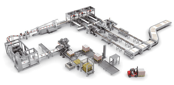 Secondary Automation Packaging Systems