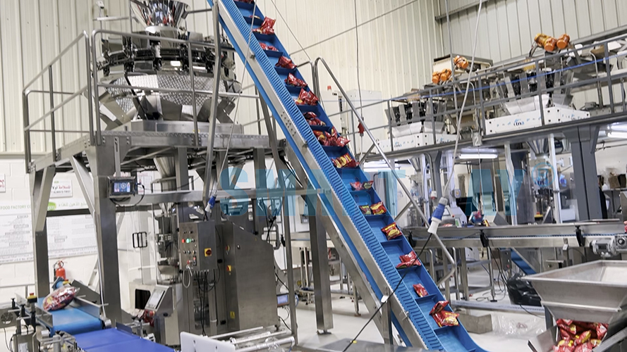 Secondary Packaging Machine for Chip Bags