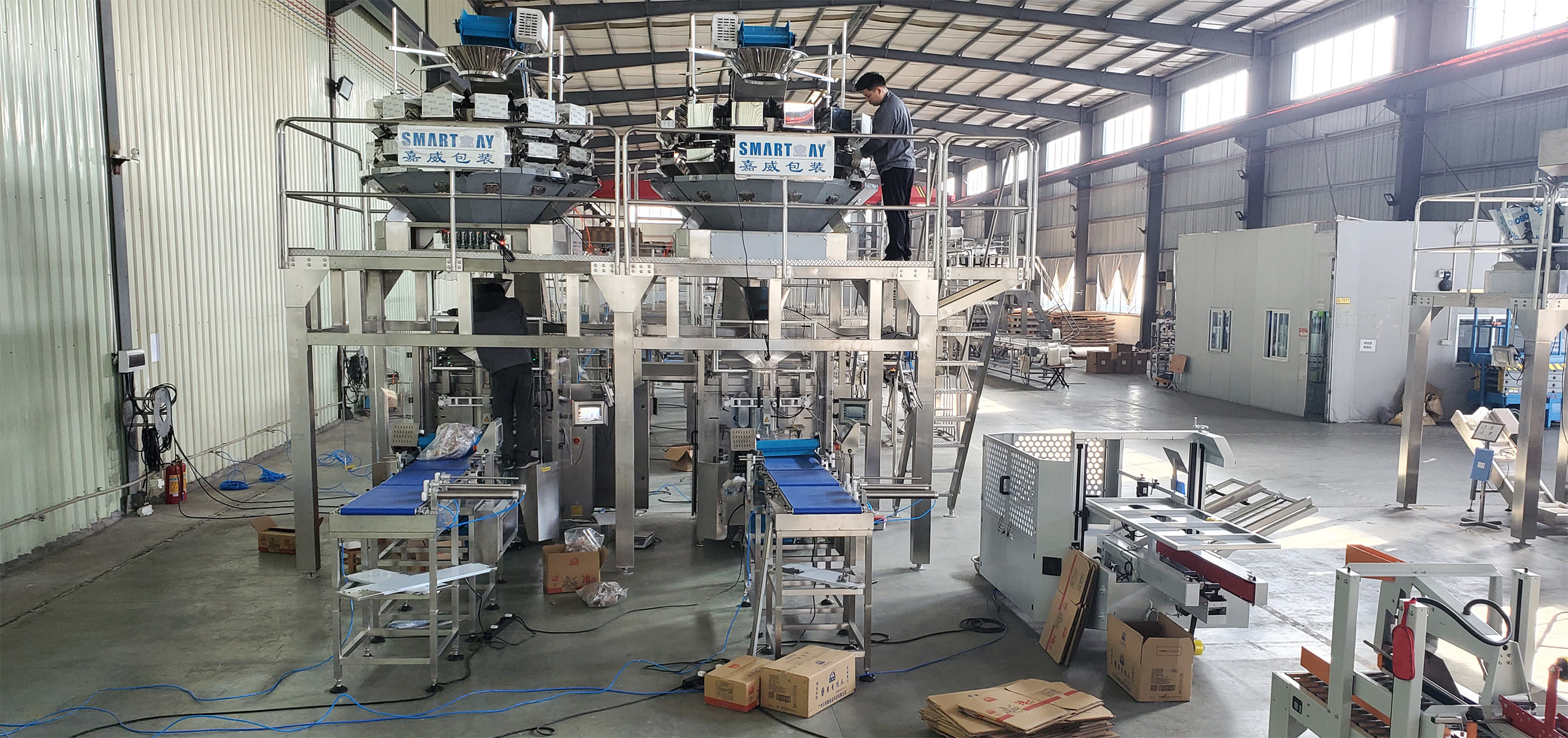 Primary Packaging - Vertical Packaging Machine